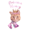 Cats Names.MOV 20