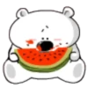 TIERNO POLAR 4 17