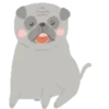 Pug🐶🌼.MOV 22
