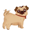 Pug🐶🌼.MOV 23