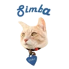 Cats Names.MOV 21