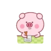 Pink Pig 2 19