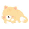 🐻Animal friends🐰 Mov 18