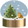 Bola de cristal (natal) 21