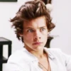 Harry Styles 21
