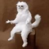 animalitos🖤🖤 20