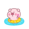 Pink Pig 2 21