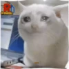 animalitos🖤🖤 23