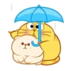 Lovely cats♡ Mov 23