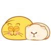 Lovely cats♡ Mov 24