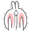 🐇Lovely Spoiled Rabbit🐰 MOV 23