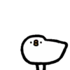 Crazy pigeon 22