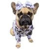 Pug🐶🌼.MOV 28