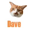 Cats Names.MOV 22