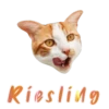 Cats Names.MOV 23