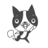 Boston terrier and friends 23