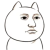 Cara de gato engraçado 15