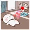 Mochi 24