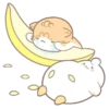 KiTtEn WiTh PeT 29