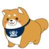 Mochishiba Mov 20