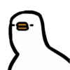 Crazy pigeon 25