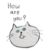Cool cats MOVbyYessy 5