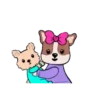 simones perrito cute 2 6