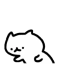 Gatos locos 9