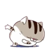 LINDO GATITO mov. 9