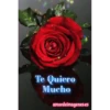 Ana Maria Barrios! 13