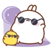 Molang & Piu piu MOV 2 11