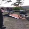Забавные малыши и собаки 6