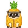 Me pug dog 7