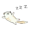 Cool cats MOVbyYessy 9