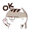 LINDO GATITO mov. 10