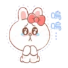 BROWN & FRIENDS（幼幼篇） 10