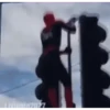 MEMES ANIMATED ( italiani ) 7