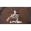 MEMES ANIMATED ( italiani ) 8
