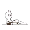 my bunny 11