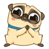 Me pug dog 11