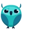 Colorful owl 7