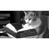 Animalitos 2🖤 14