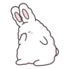Suppy the white rabbit 2 MOV 8