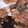 Halloween para nosotrosMov3 10