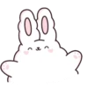 Suppy the white rabbit 1 MOV 16