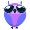 Colorful owl 13