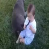 Забавные малыши и собаки 11