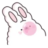 Suppy the white rabbit 2 MOV 11