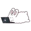 Suppy the white rabbit 2 MOV 13