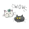 Cool cats MOVbyYessy 16